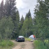 Review photo of Libby Creek Spruce Campground by Mike T., November 29, 2022