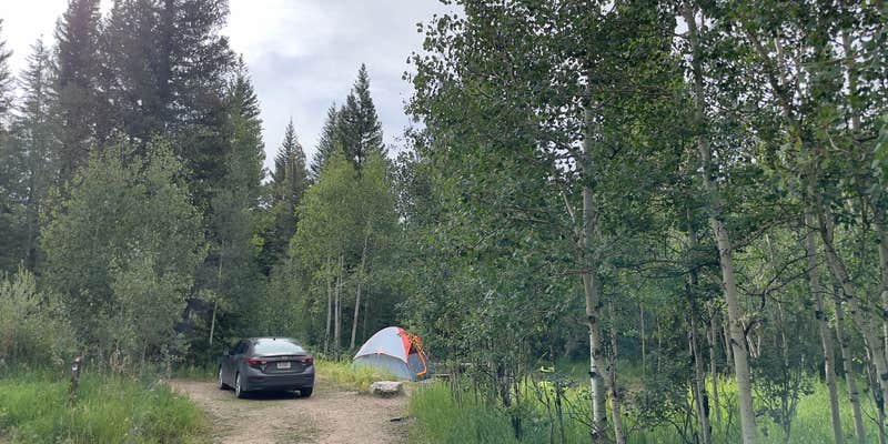 Camper submitted image from Libby Creek Spruce Campground