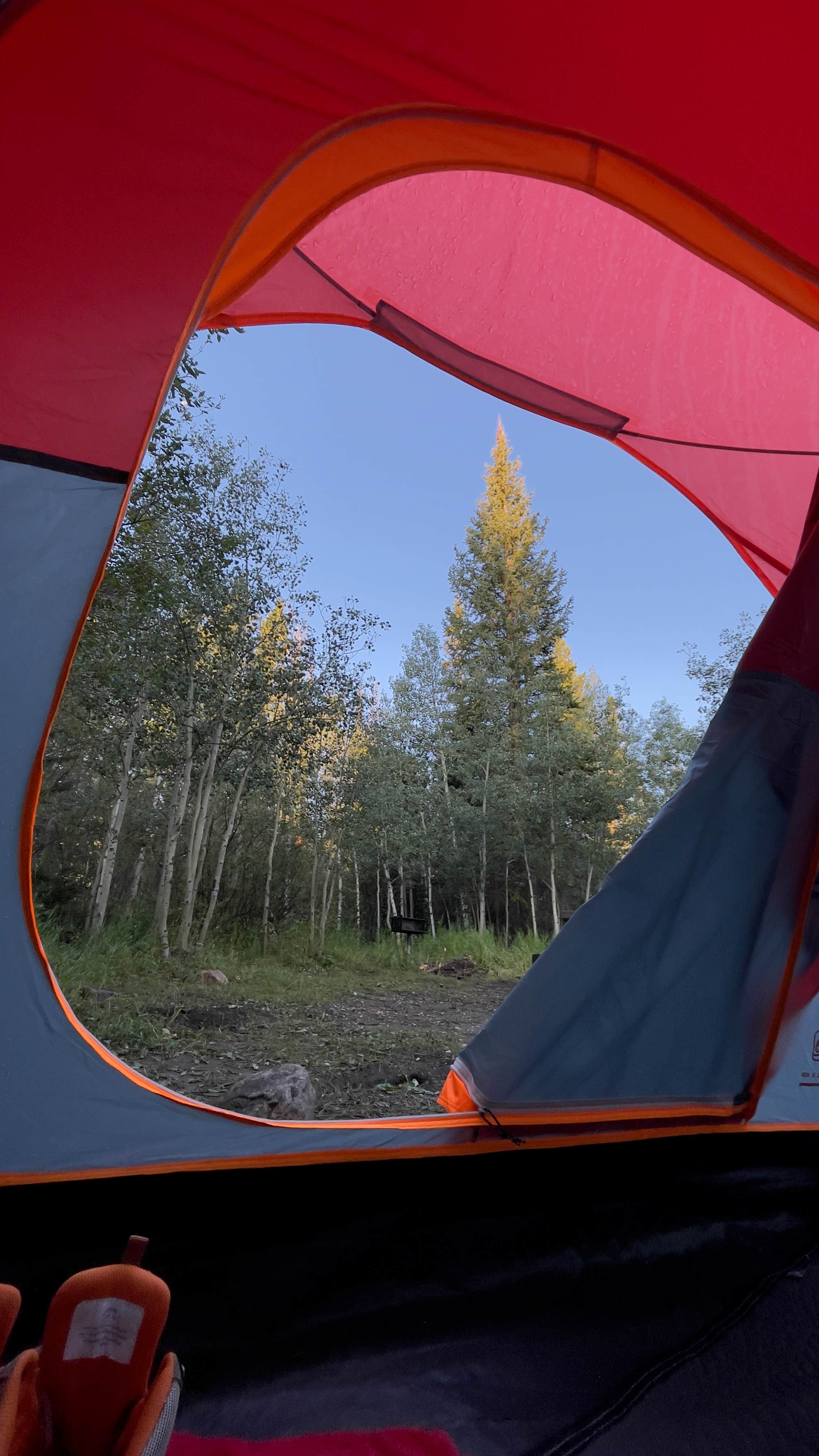 Mike T.'s photo at Libby Creek Spruce Campground near Medicine Bow-Routt NFs & Thunder Basin NG