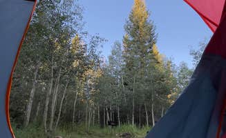 Mike T.'s photo at Libby Creek Spruce Campground near Centennial, WY