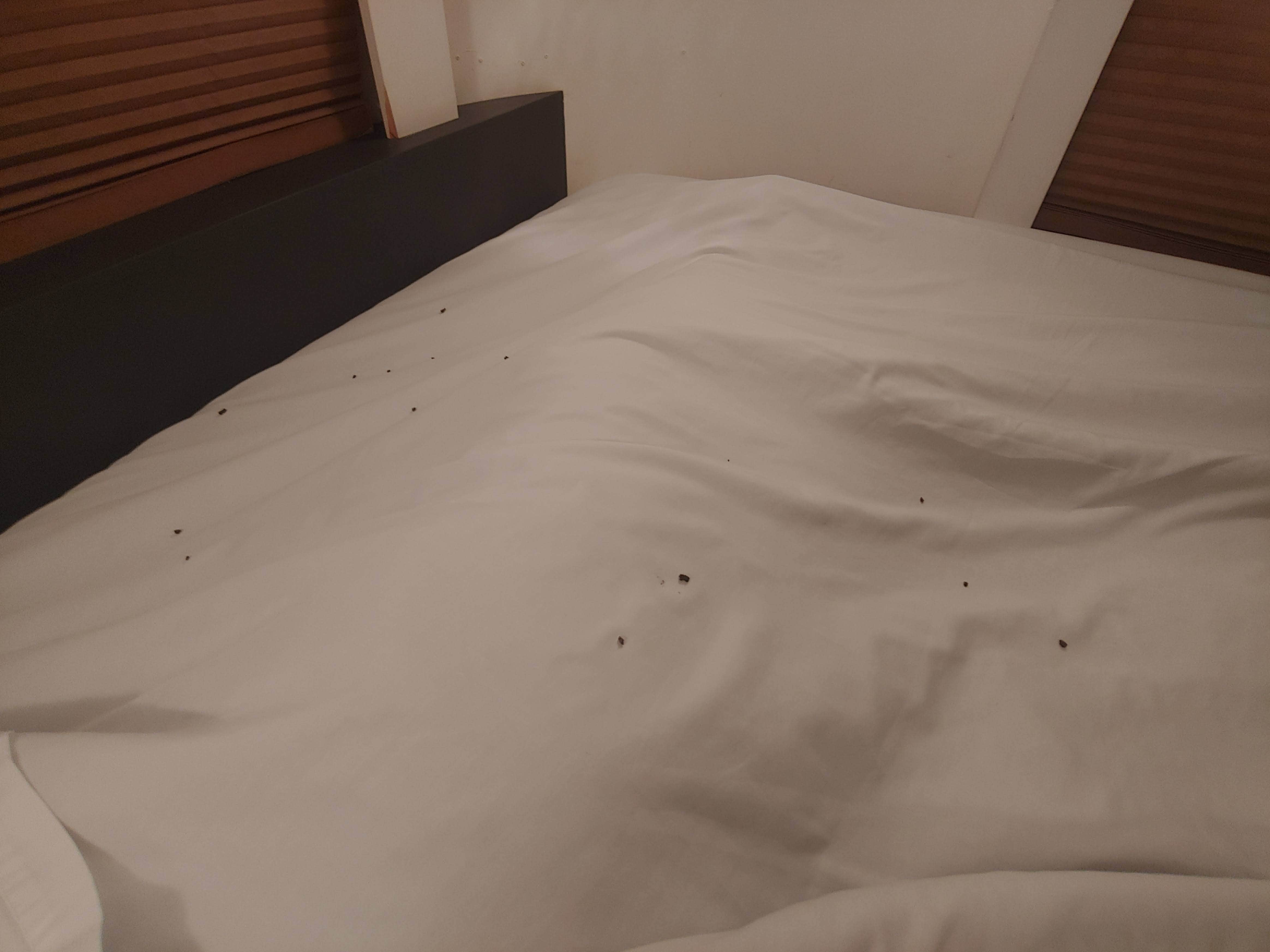 Stephanie M.'s photo of glamping accommodations at Flying Flags RV Resort near Santa Barbara, CA