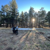 Review photo of Forest Service Road #205 Lower Dispersed Camping by Staci W., November 29, 2022
