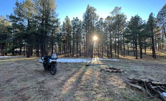 Staci W.'s photo of a dispersed camping area at Forest Service Road #205 Lower Dispersed Camping near Jacob Lake, AZ
