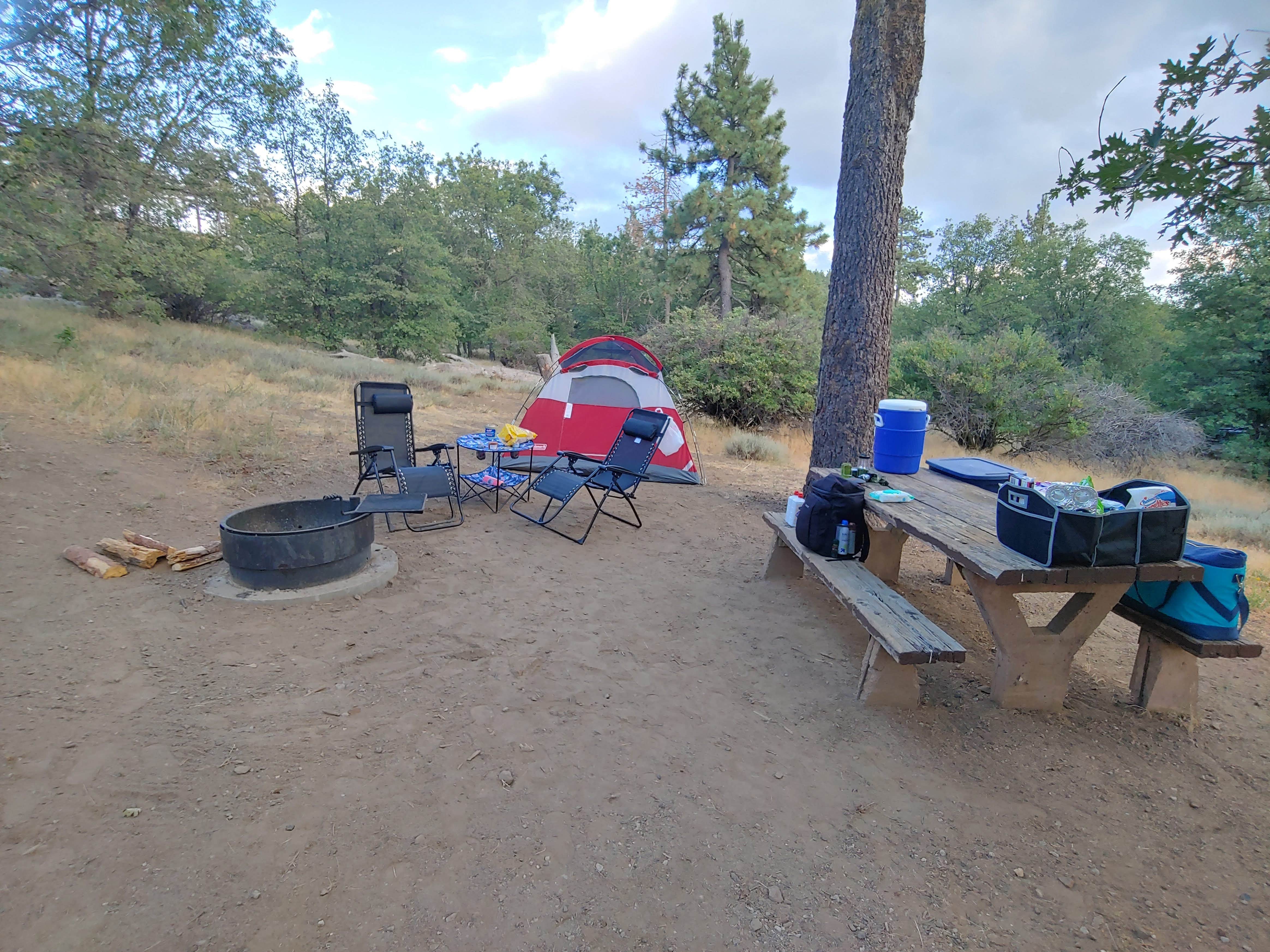 Stephanie M.'s photo at El Prado Campground near Boulevard, CA