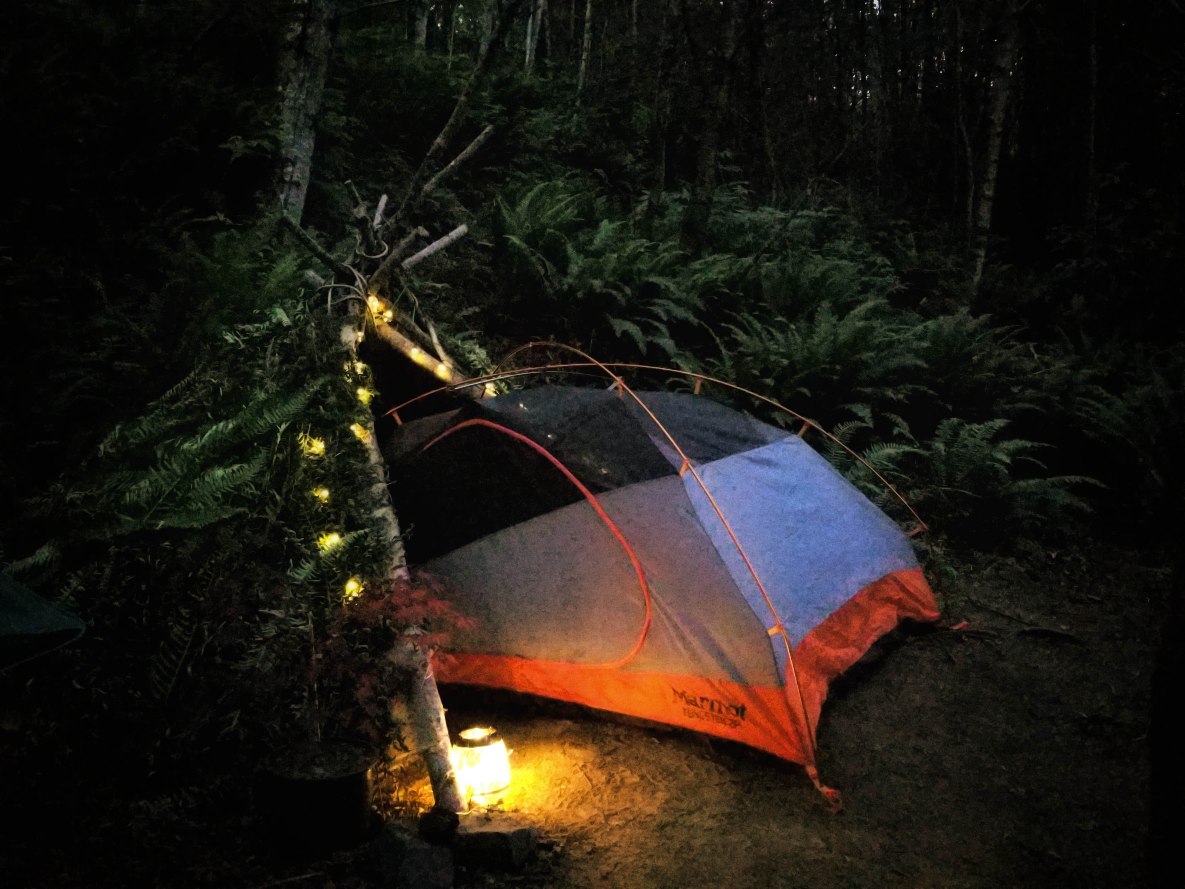 Camper-submitted photo at Rose Creek Retreat near Ilwaco, WA