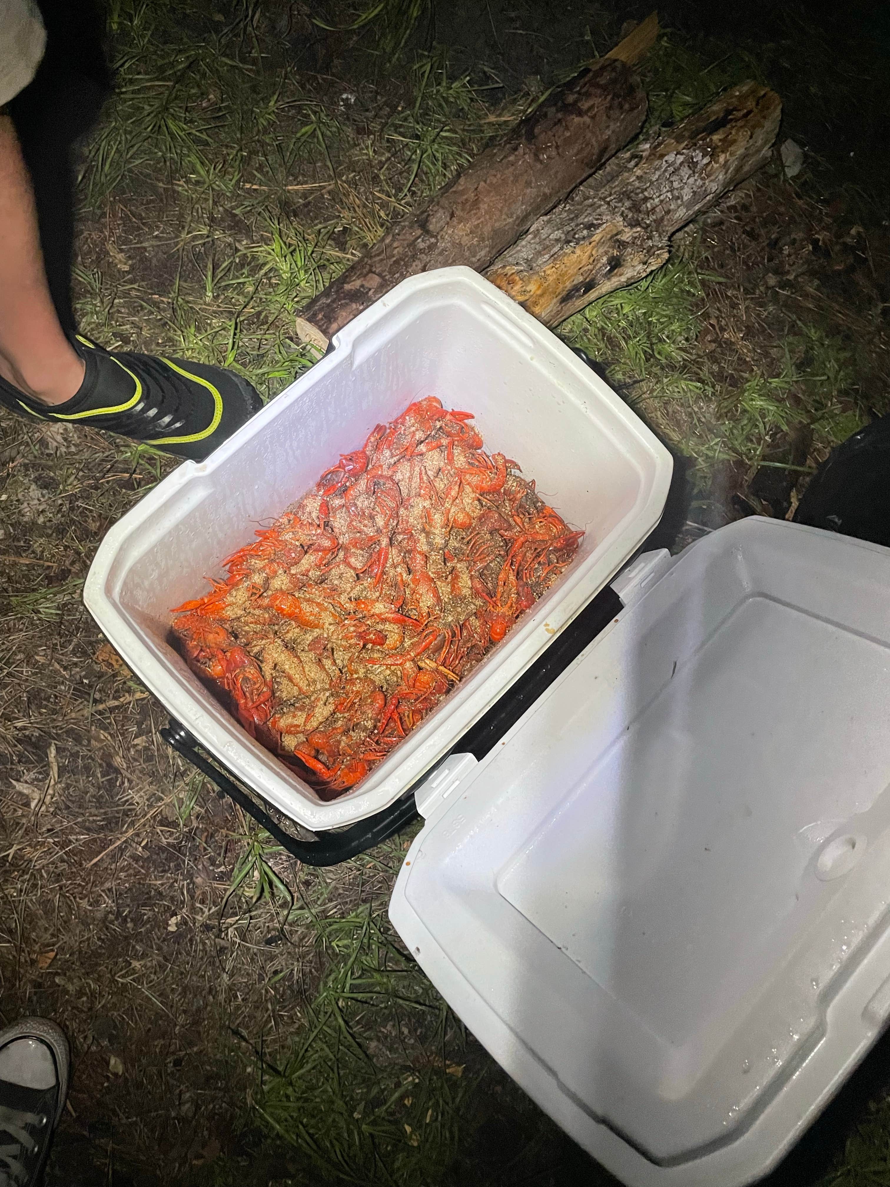 Camper submitted image from Custis Camp - 4