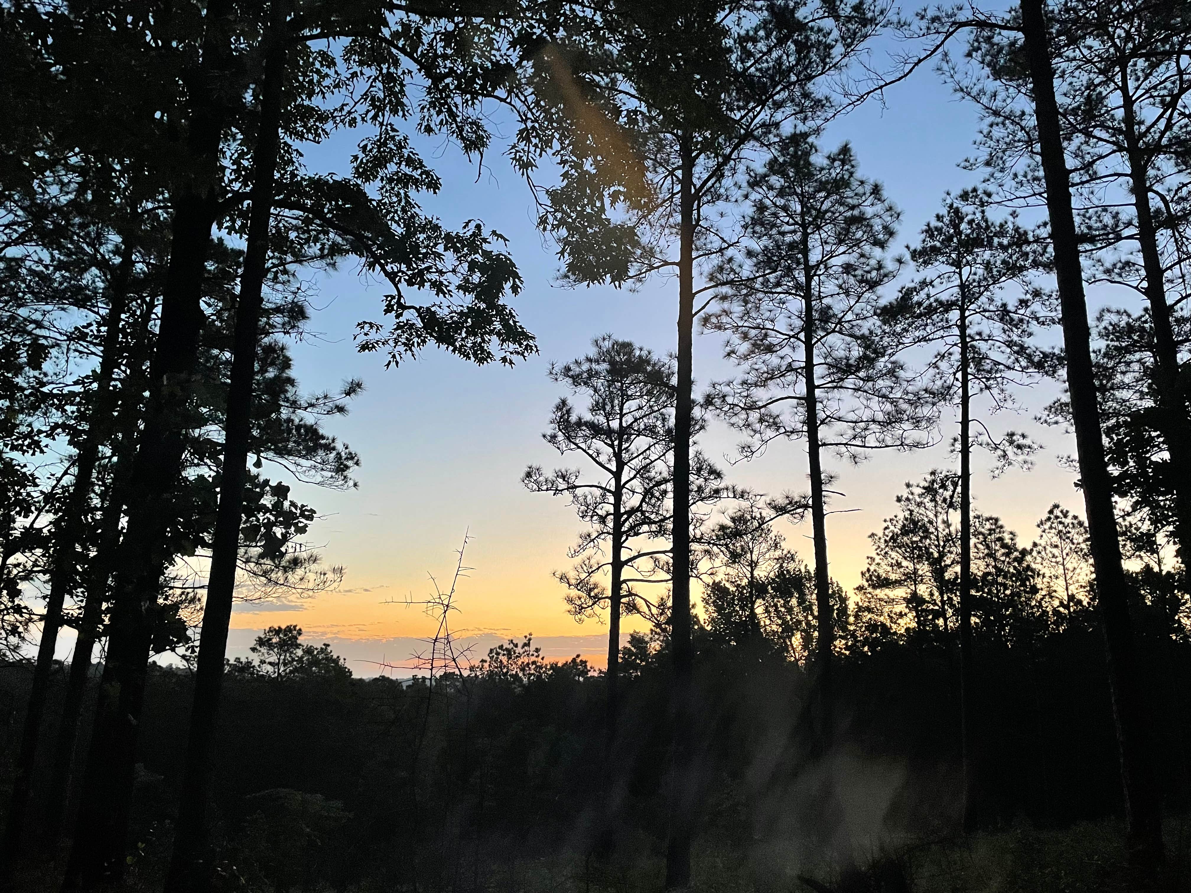 Camper-submitted photo at Custis Camp near Gorum, LA