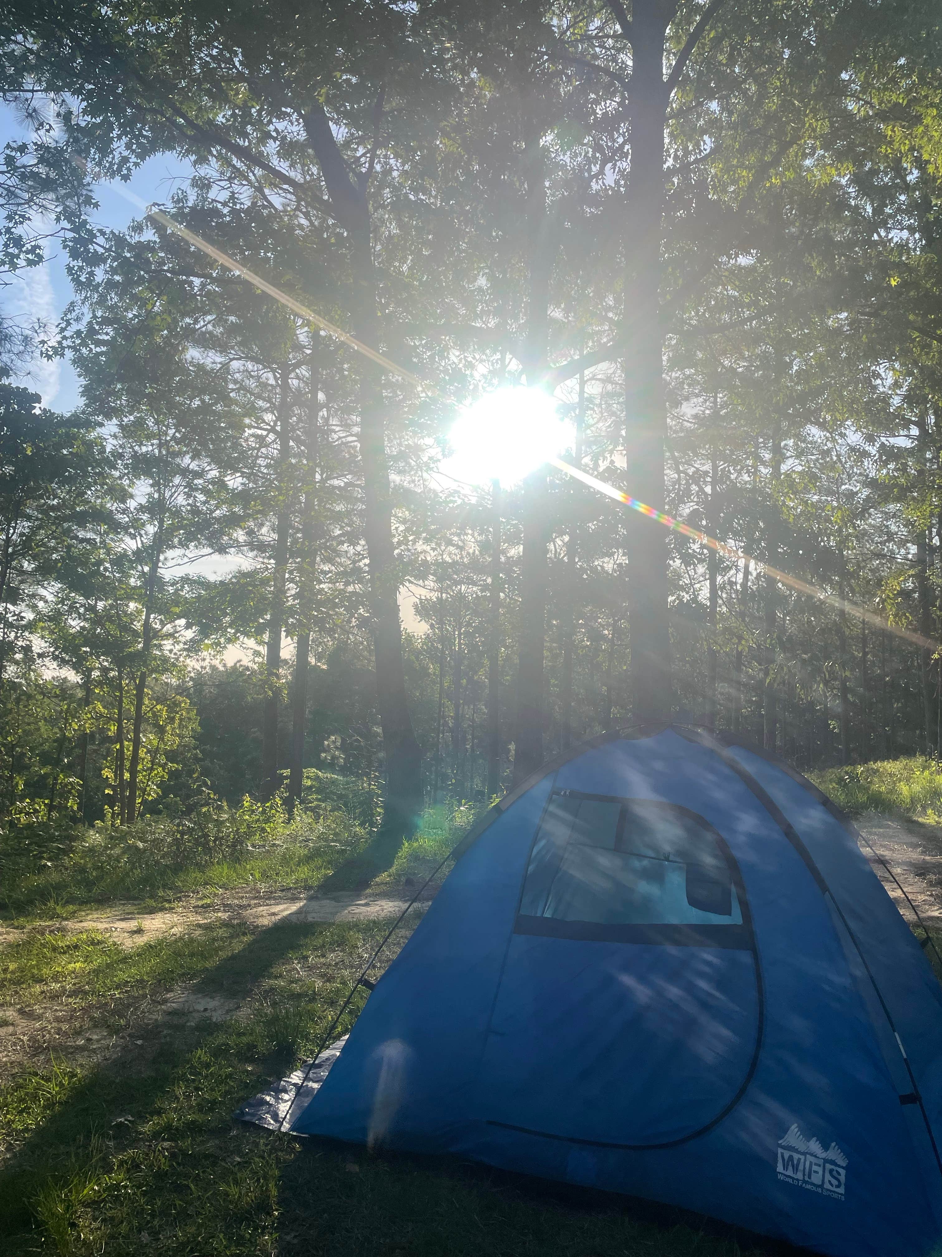 Camper submitted image from Custis Camp - 3