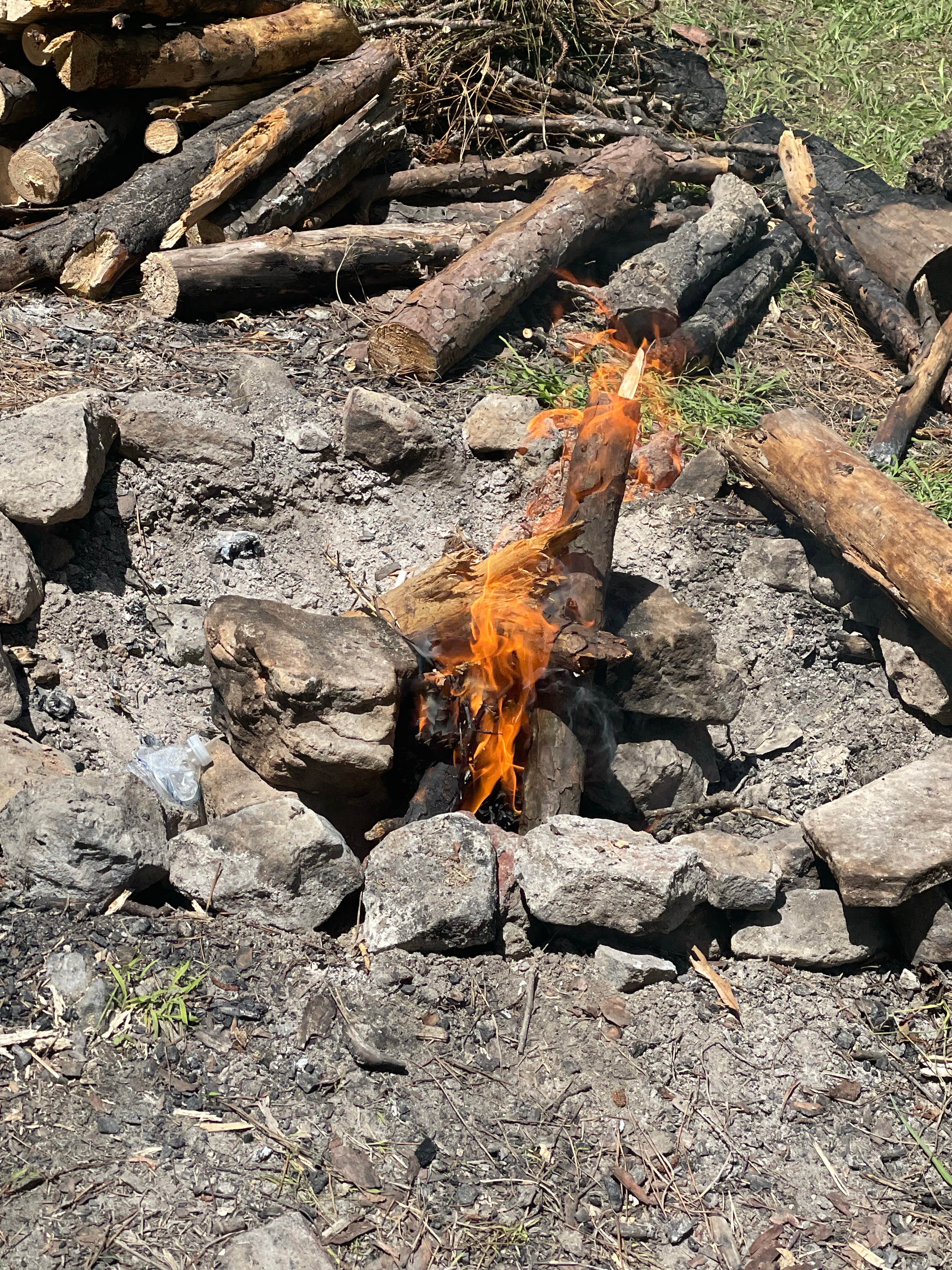 Camping near Lotus Camp: Custis Camp, Cloutierville, Louisiana