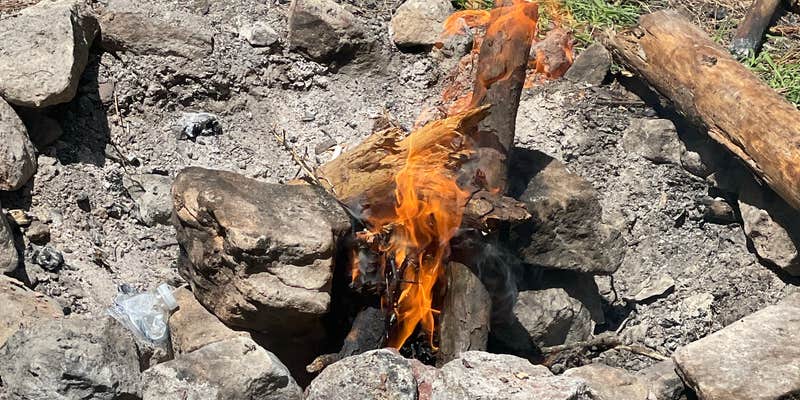 Camper submitted image from Custis Camp