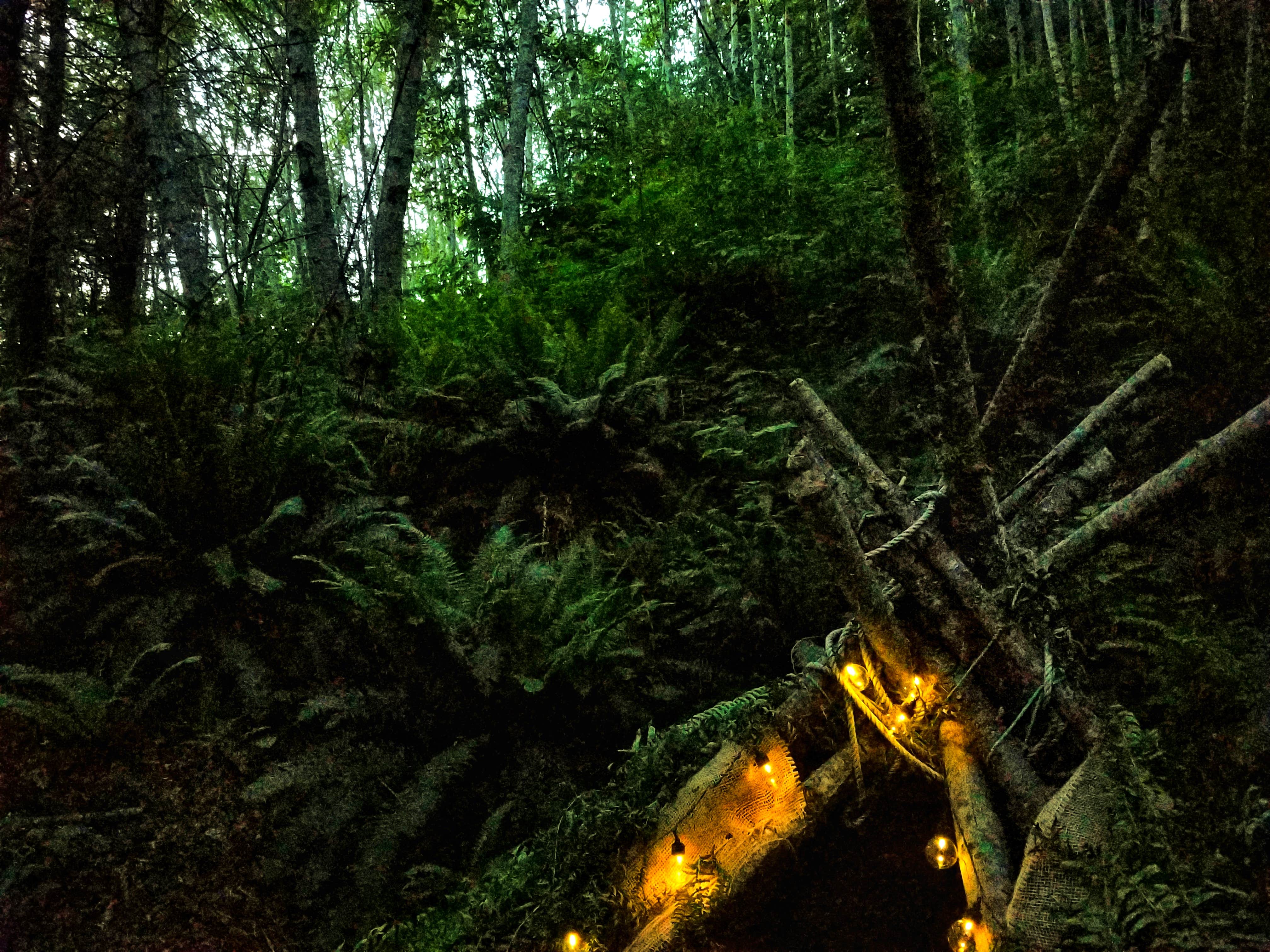 Camper-submitted photo at Rose Creek Retreat near Ilwaco, WA