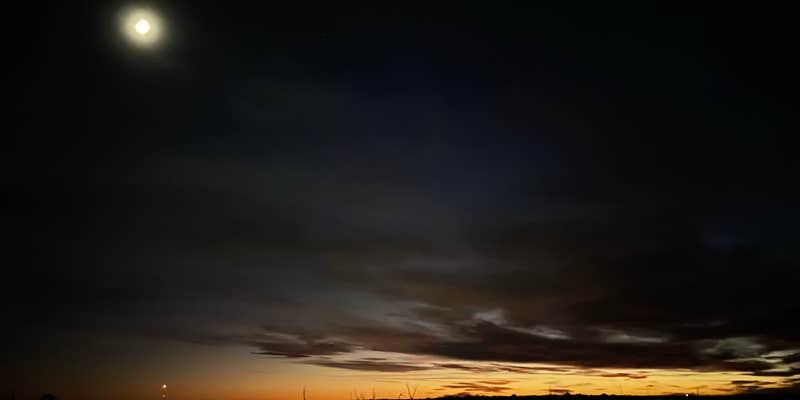 Camper submitted image from Waurika Primitive Camping