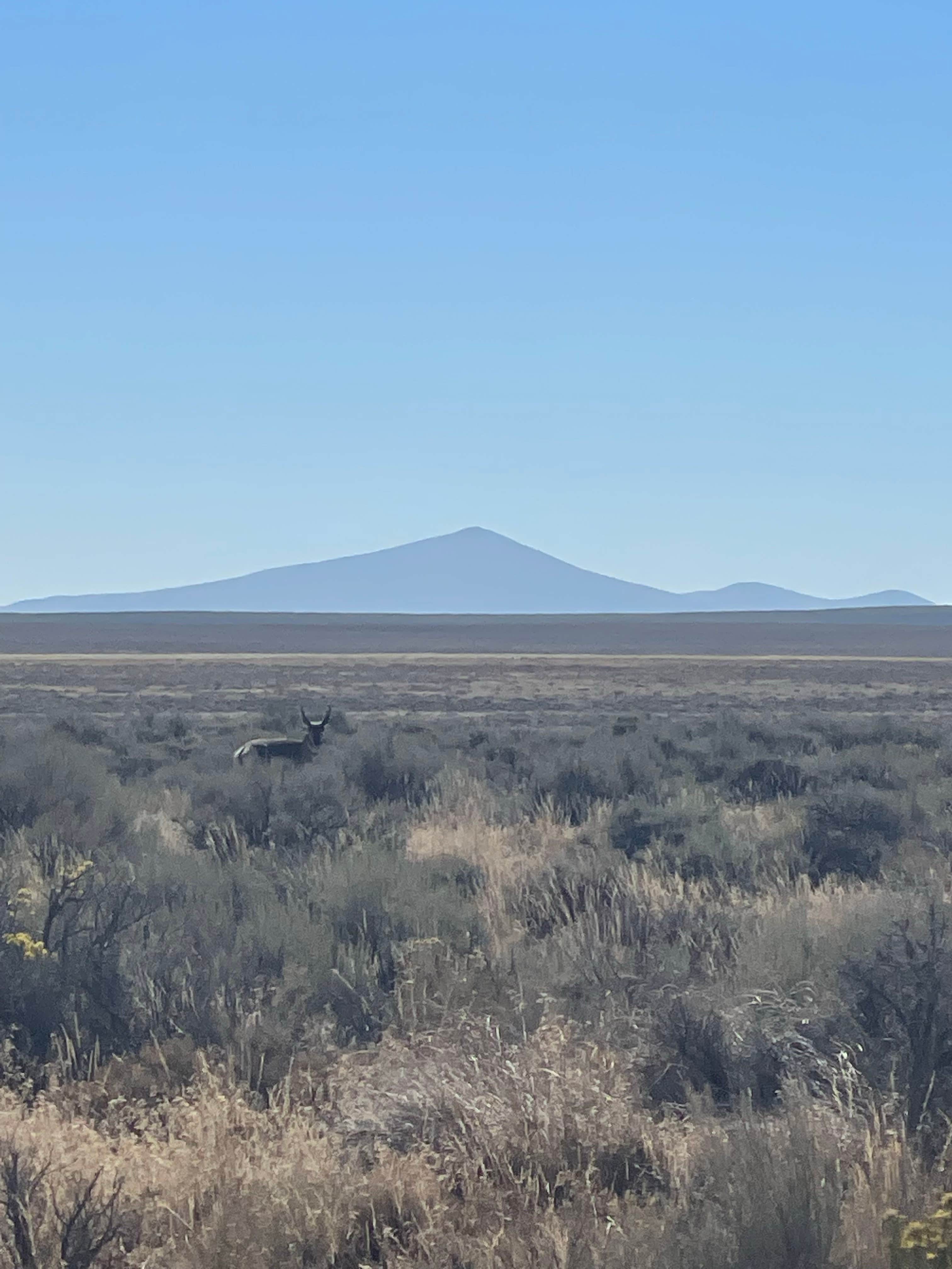 Camper-submitted photo at Heart Mountain Spring near Bancroft, ID