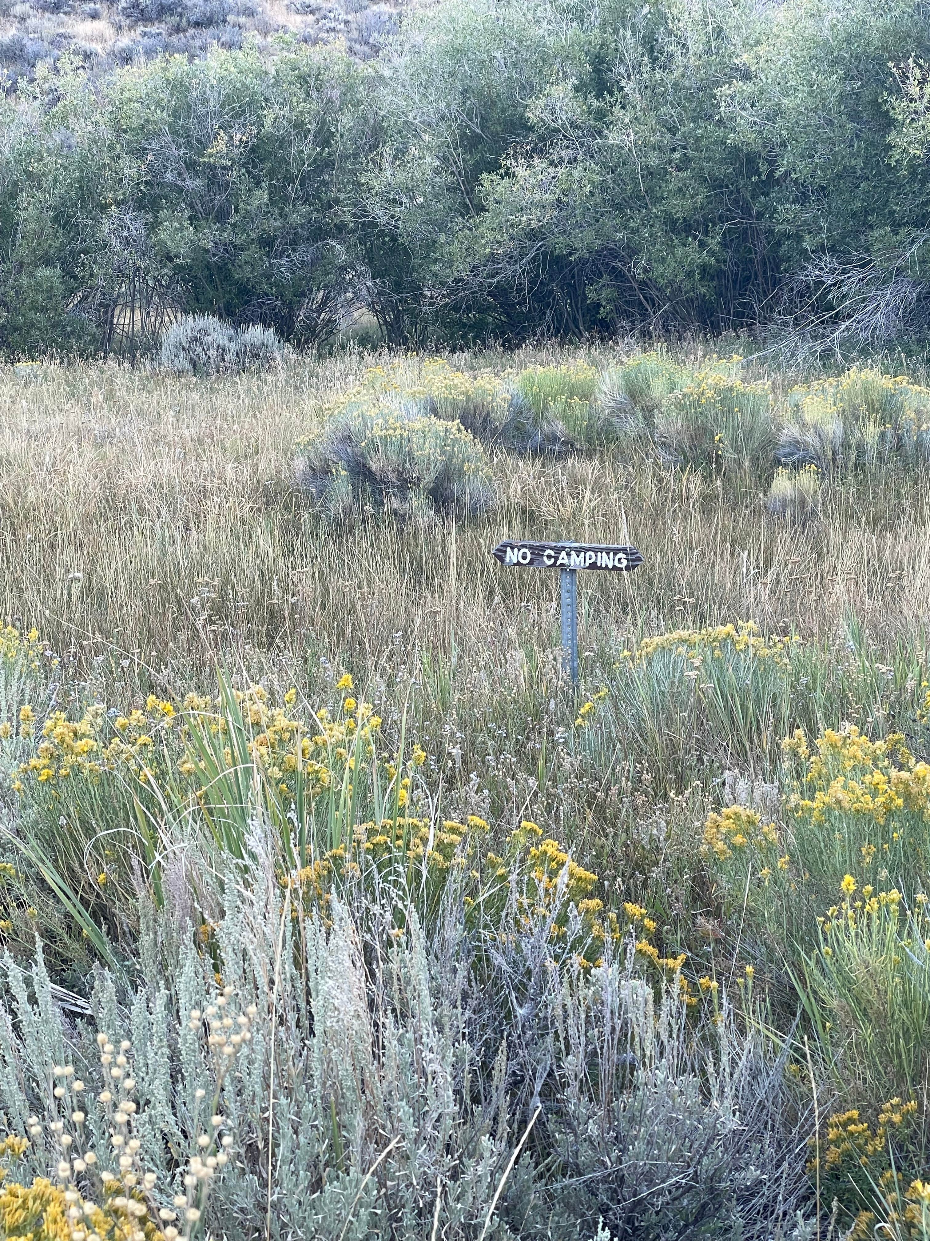 Camper-submitted photo at Heart Mountain Spring near Bancroft, ID