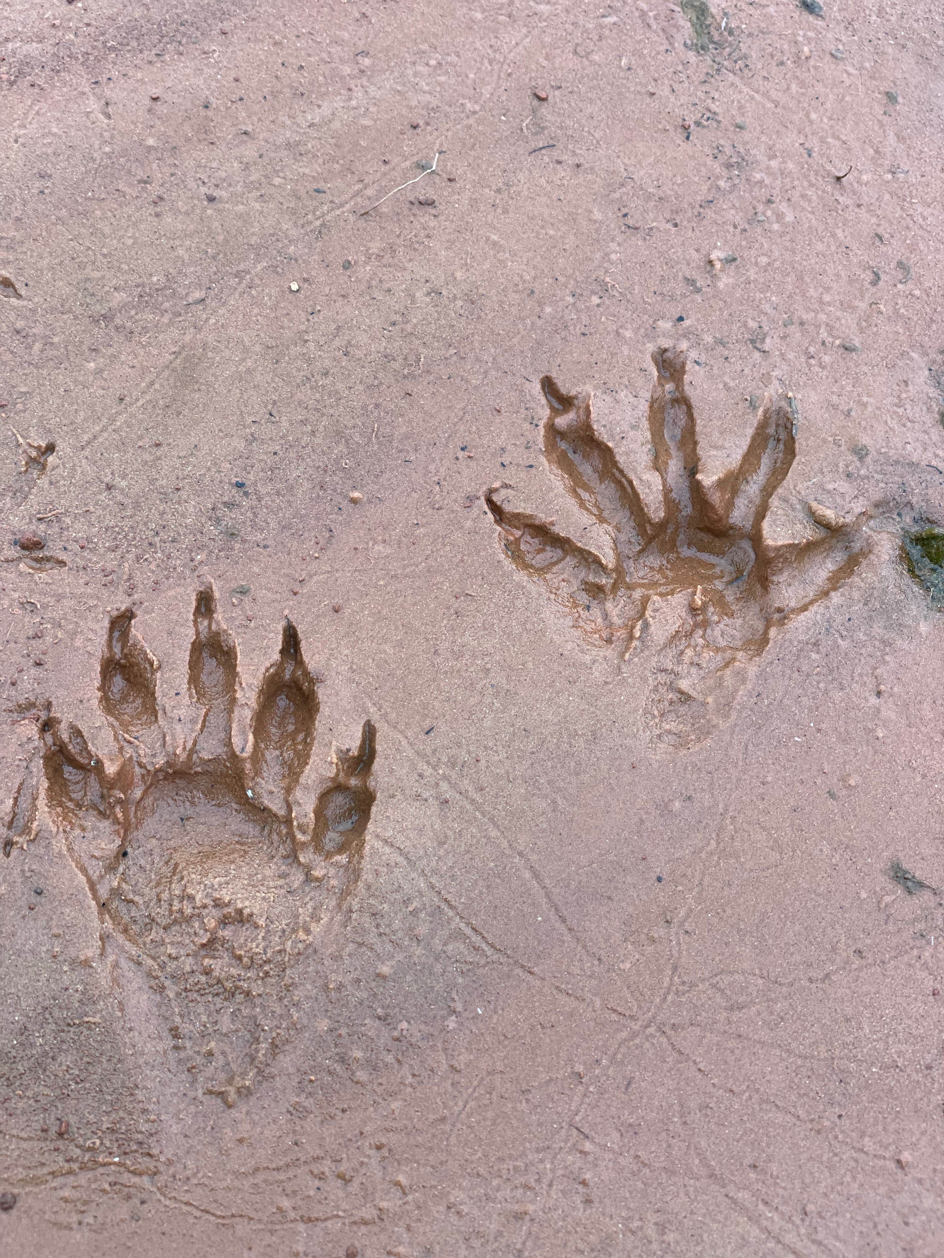Camper-submitted photo at Chisholm Trail Ridge Park - Waurika Lake near Waurika Lake