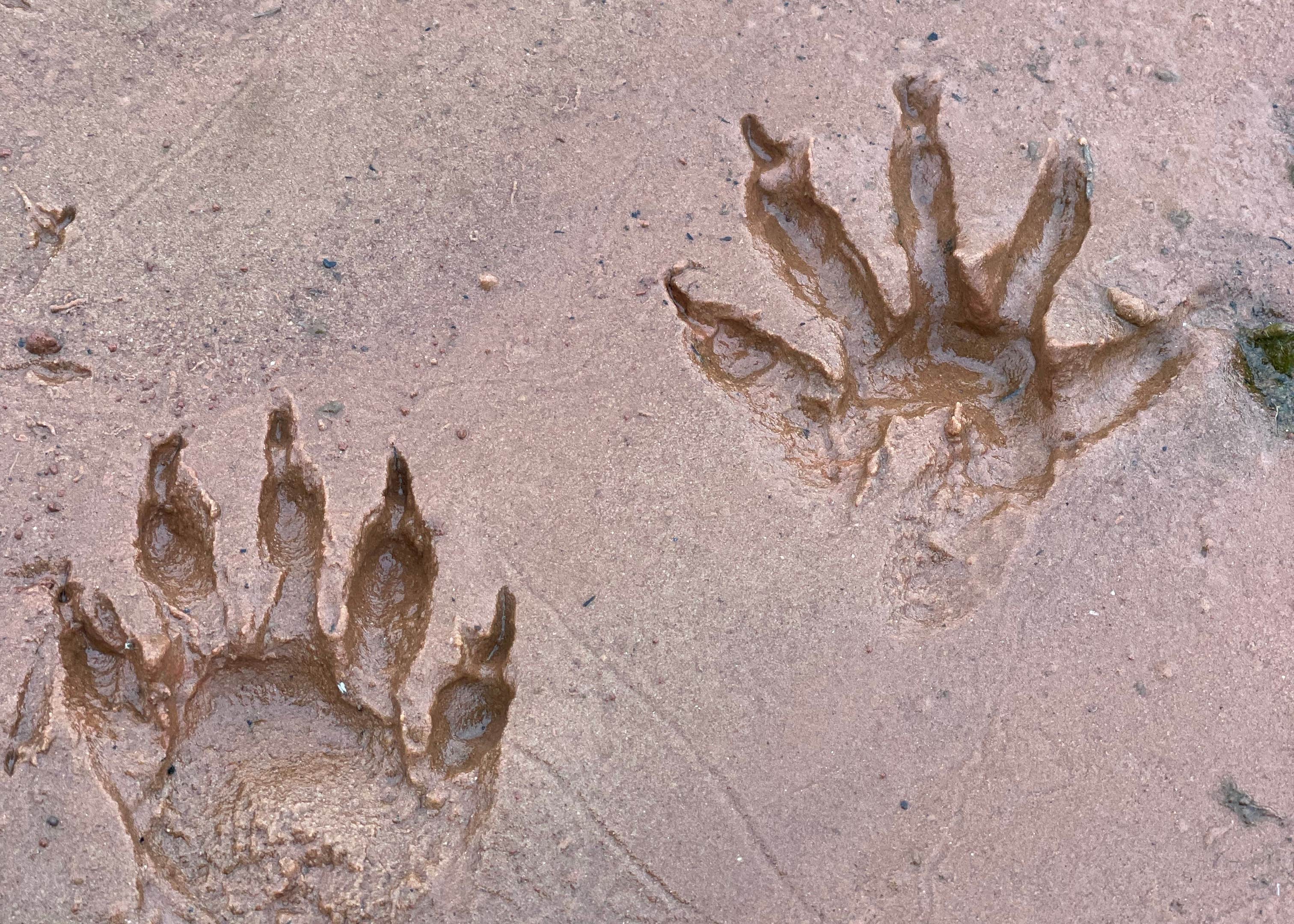 Chisholm Trail Ridge Park Waurika Lake Camping The Dyrt