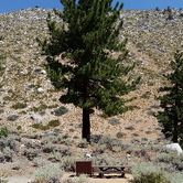 Review photo of Upper Sage Flat Campground by Ryan W., August 9, 2016