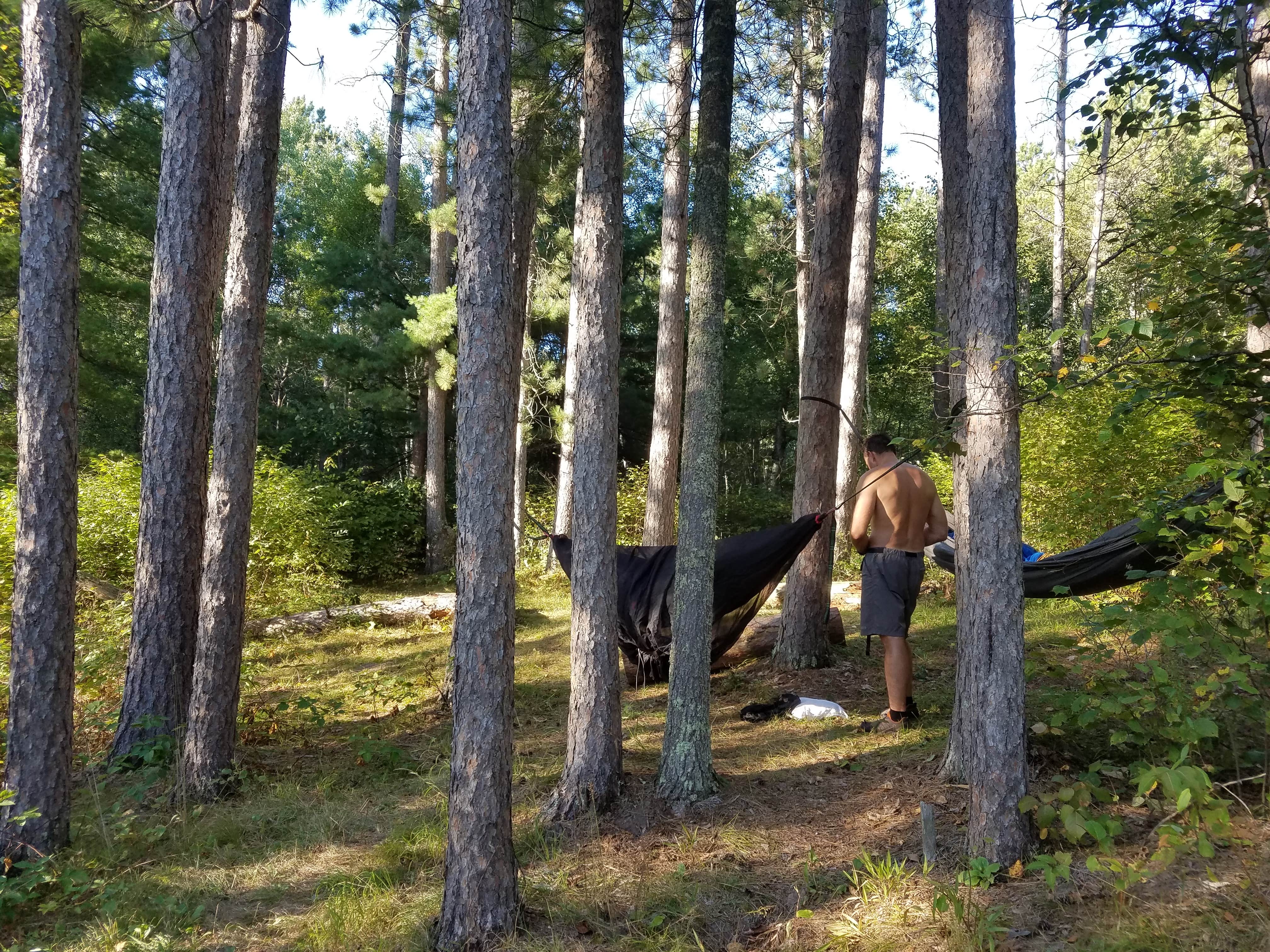 Camper submitted image from Old Headquarters Campsite - 2