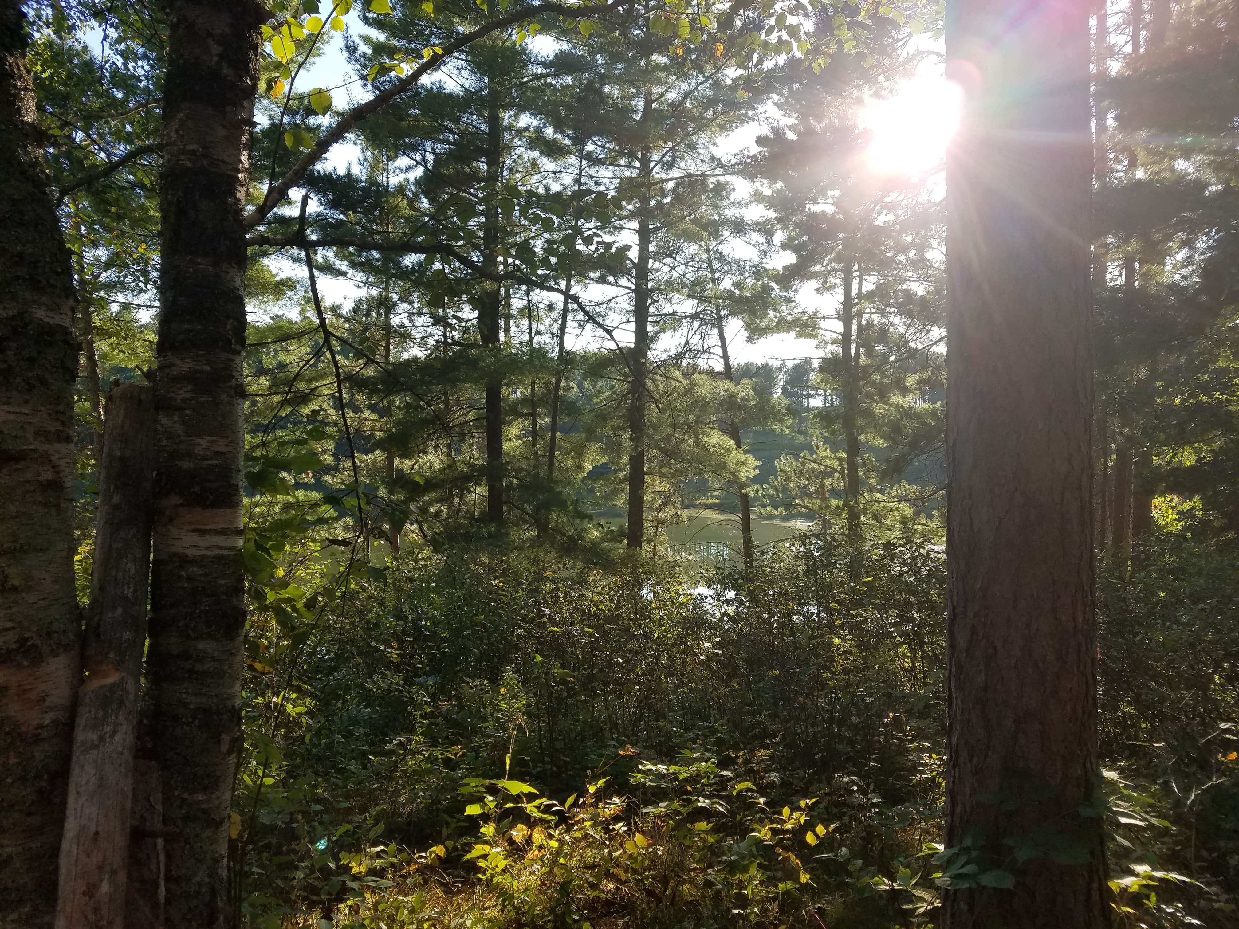 Camper-submitted photo at Old Headquarters Campsite near Midway, MN