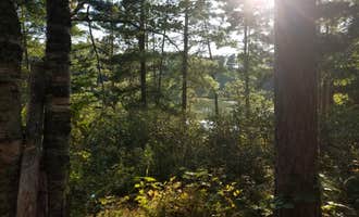 Camping near DeSoto Lake Backpacking Sites — Itasca State Park: Old Headquarters Campsite, Midway, Minnesota