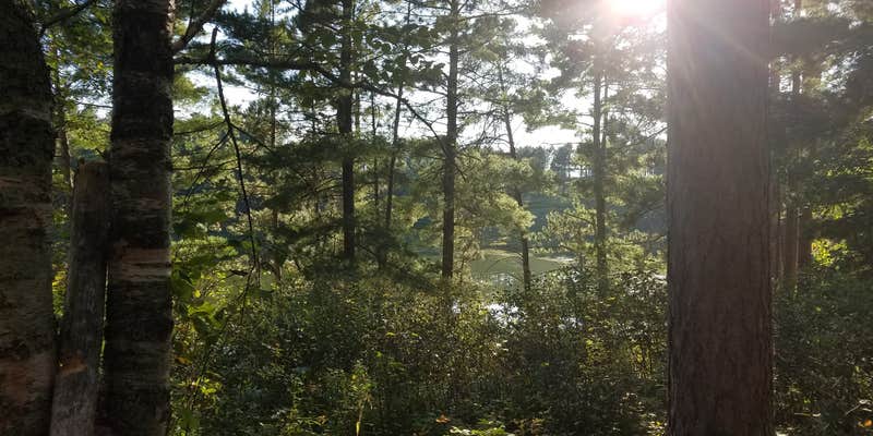 Camper submitted image from Old Headquarters Campsite