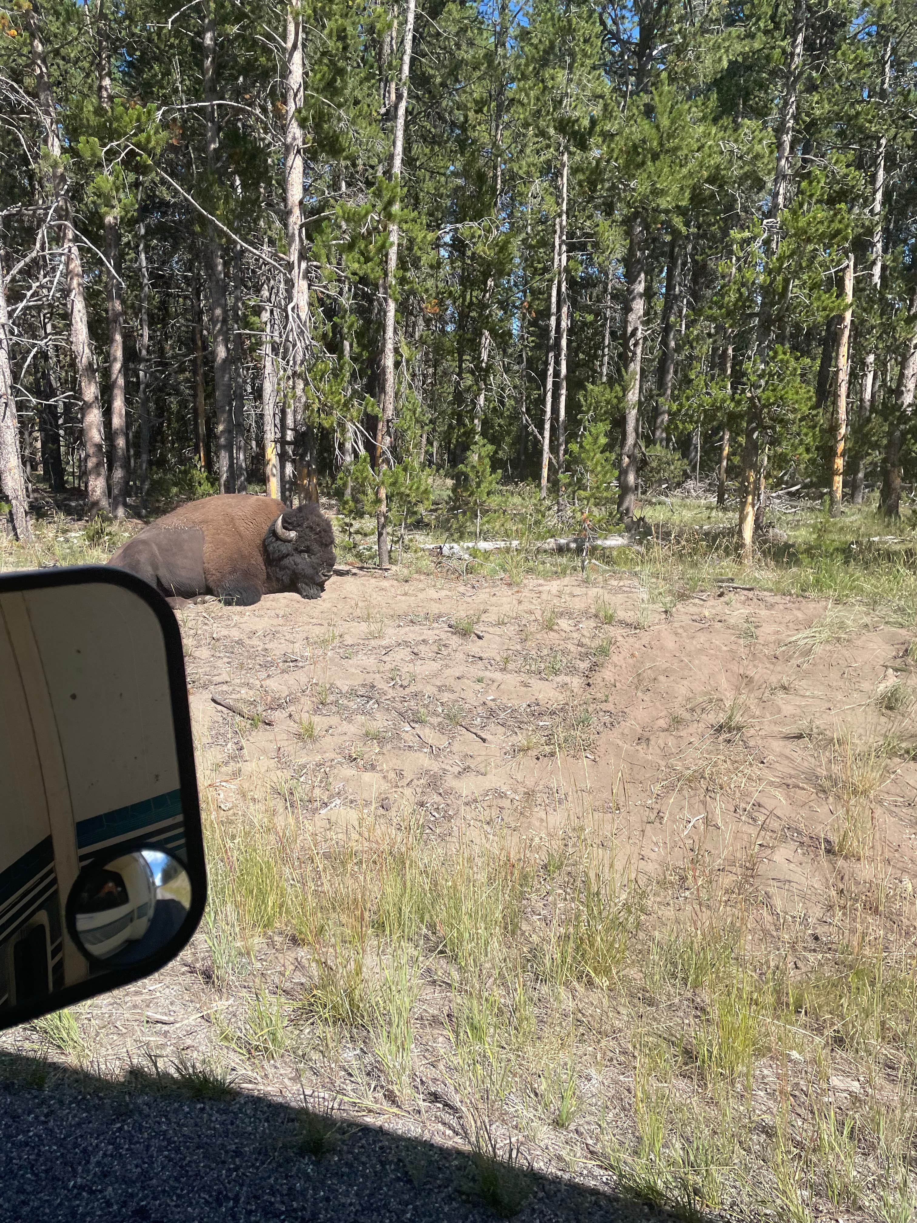Camper-submitted photo at North Fork Campground near Lysite, WY