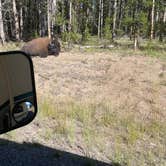 Review photo of North Fork Campground by Daisee Mae S., November 29, 2022