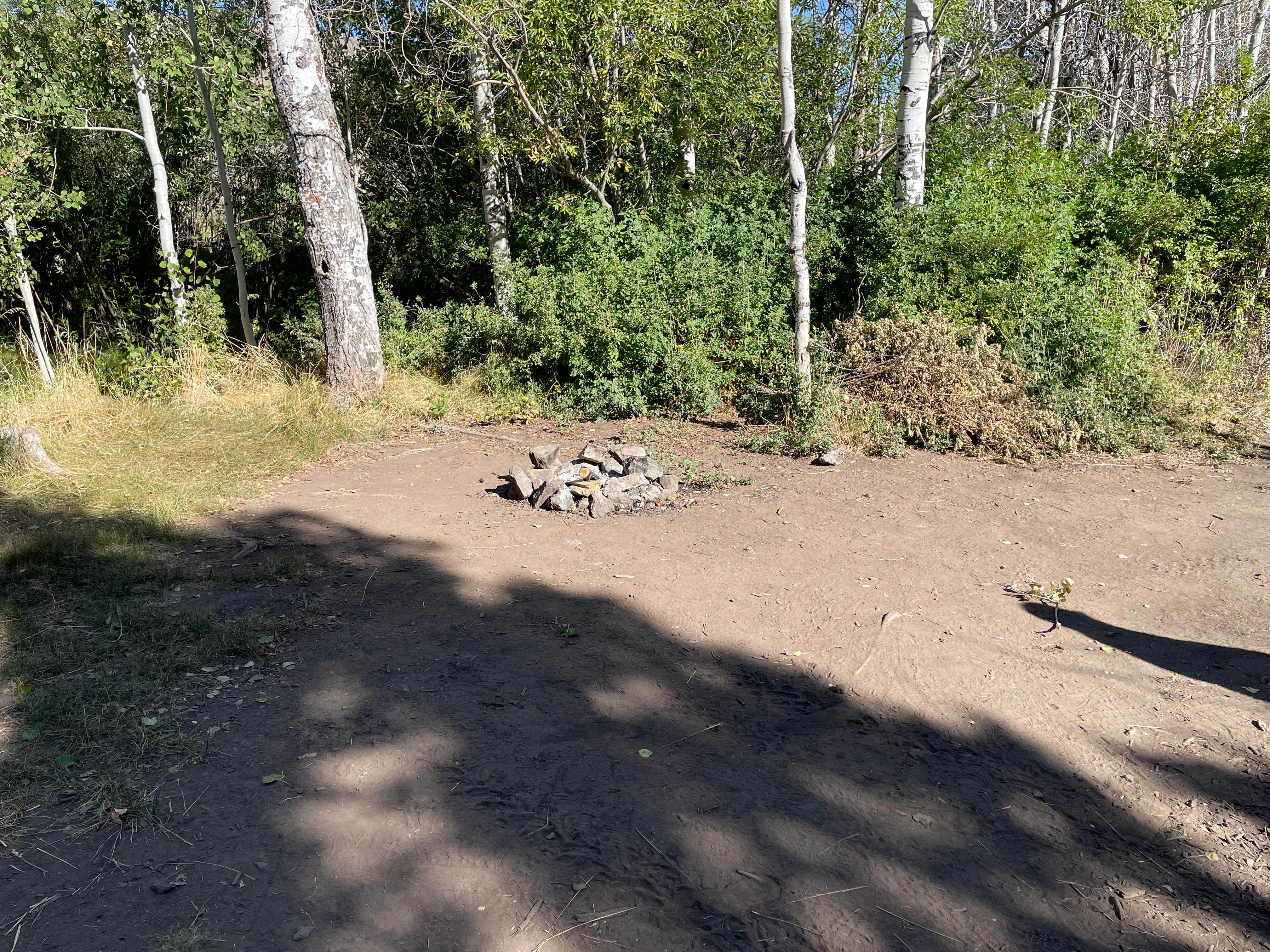 Camper submitted image from Heart Mountain Spring - 5
