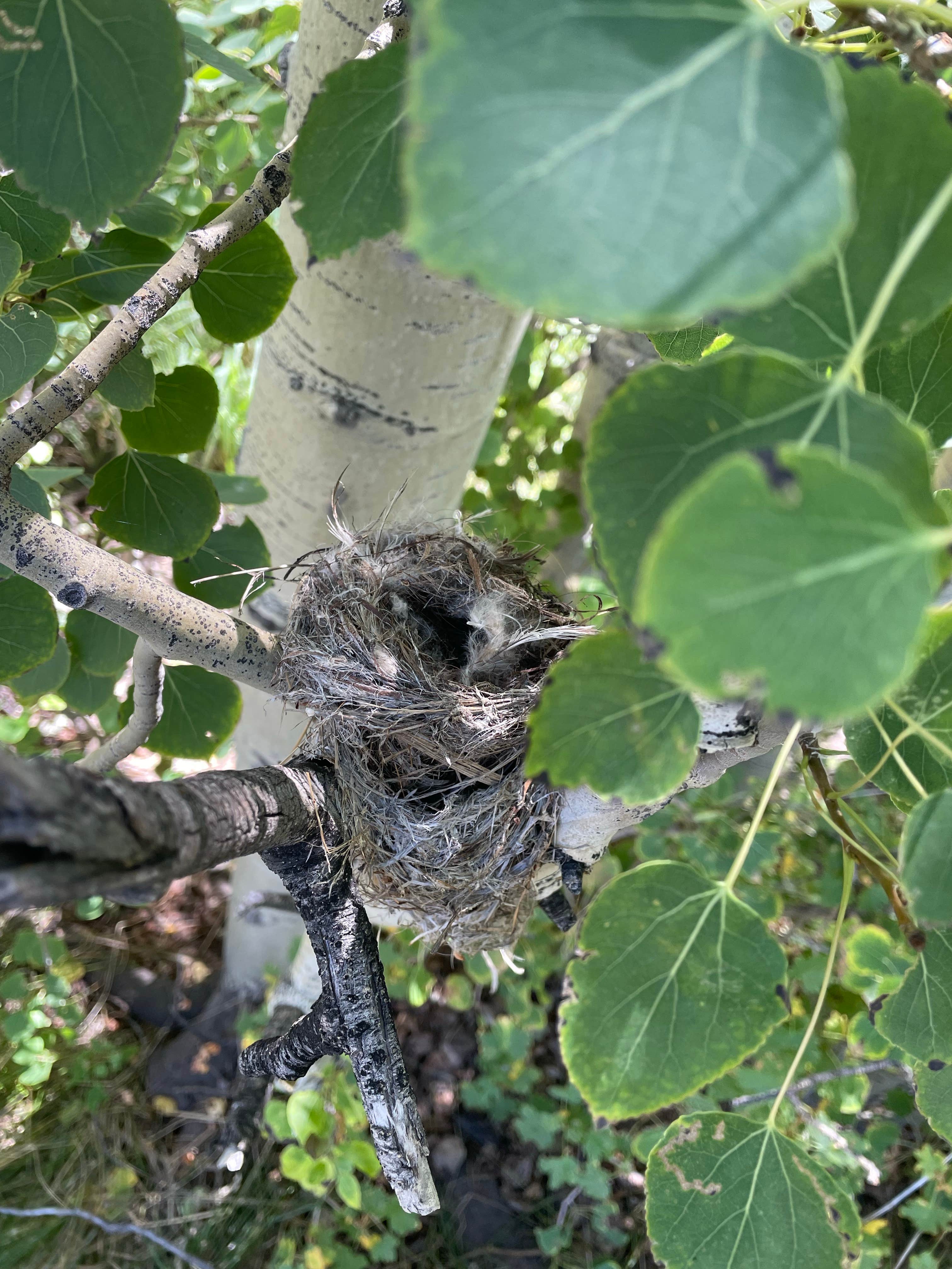 Camping near Devils Creek RV Park: Heart Mountain Spring, Downey, Idaho