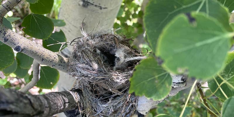 Camper submitted image from Heart Mountain Spring