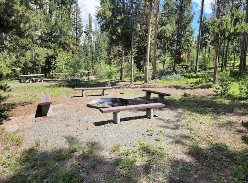 Camper-submitted photo at Beaverdam Campground and Picnic Area near Wise River, MT