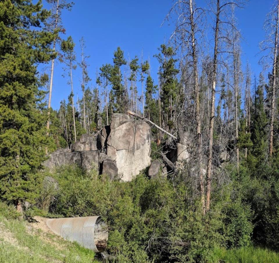 Camper-submitted photo at Beaverdam Campground and Picnic Area near Wise River, MT