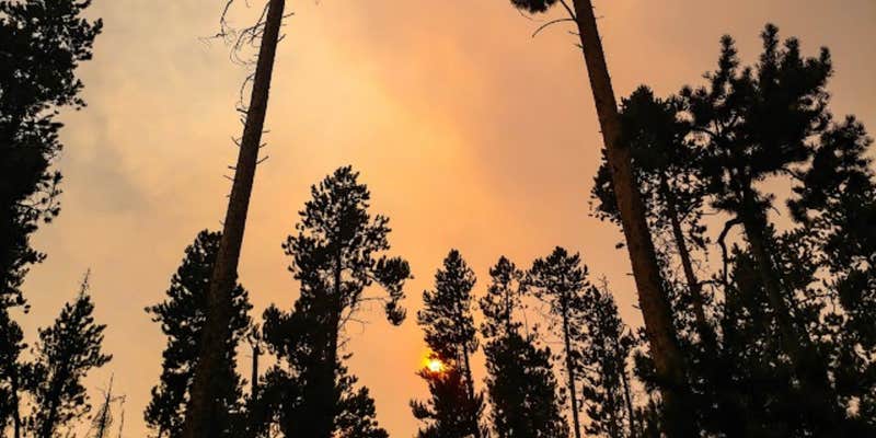 Camper submitted image from Beaverdam Campground and Picnic Area