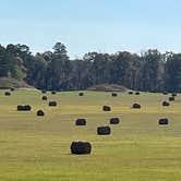 Review photo of Jeff Busby Campground, Milepost 193.1 — Natchez Trace Parkway by TylerWende O., November 29, 2022