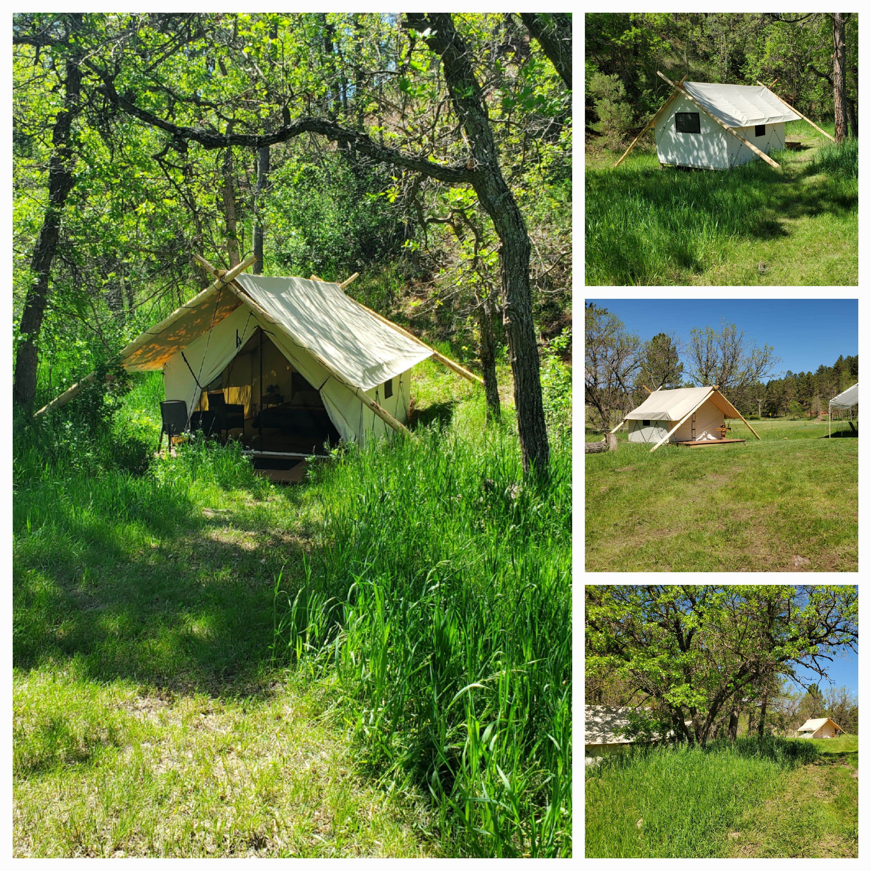 Tammy K.'s photo of tent camping at Bear Den Cabins and Camp near Silver City, SD