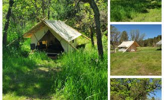 Tammy K.'s photo of tent camping at Bear Den Cabins and Camp near Hermosa, SD