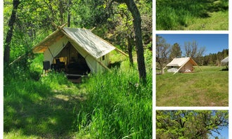 Camping near Wolf Camp Campground: Bear Den Cabins and Camp, Hermosa, South Dakota