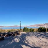 Review photo of Boulder Beach Campground — Lake Mead National Recreation Area by Les W., November 29, 2022