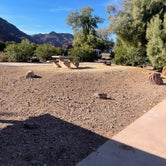 Review photo of Boulder Beach Campground — Lake Mead National Recreation Area by Les W., November 29, 2022