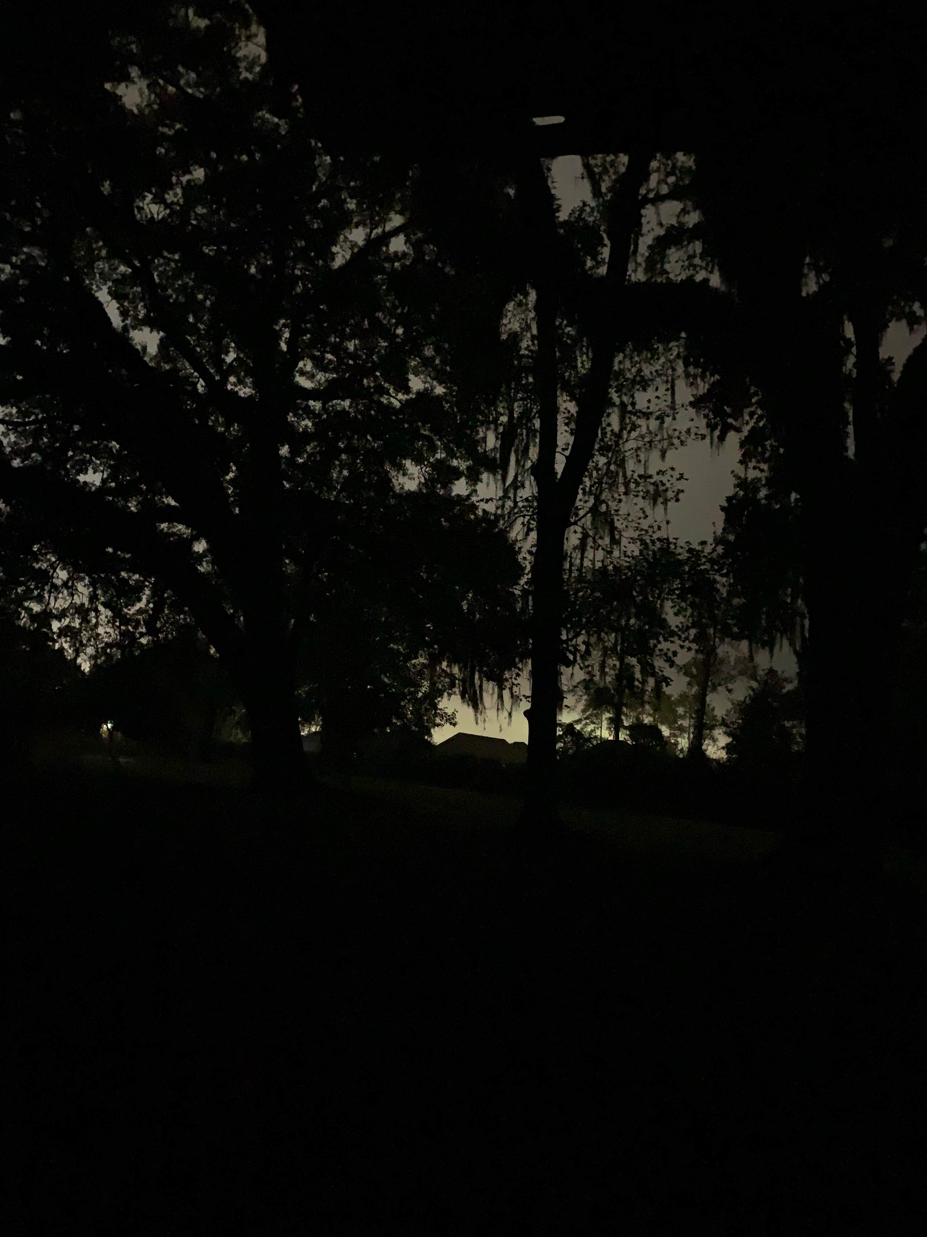 Camper-submitted photo at Pearl River WMA - Crawford Landing near Pearl River, LA