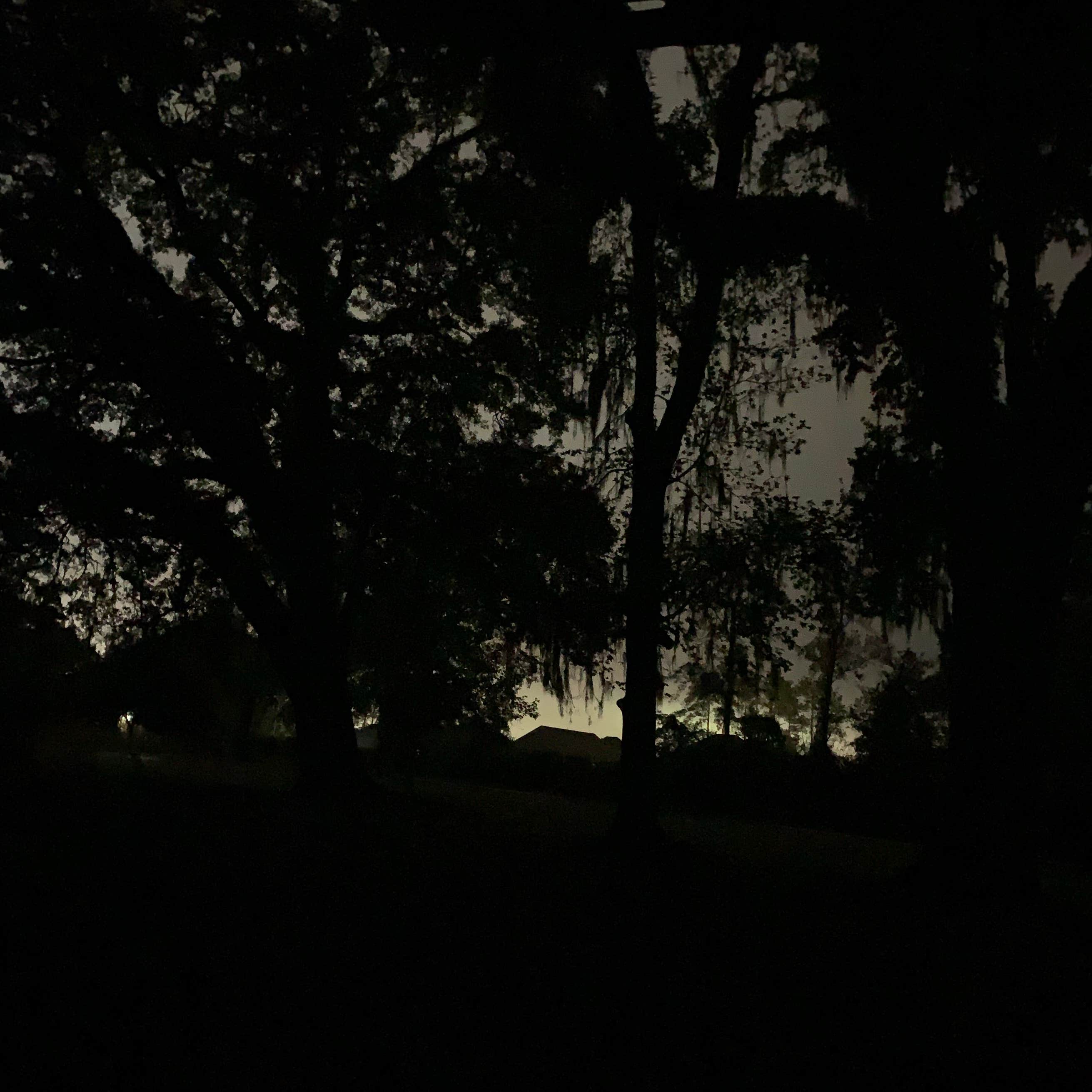 Pearl River WMA Crawford Landing Camping Slidell, LA