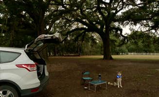 Diana's photo of camping with pets at Pearl River WMA - Crawford Landing near New Orleans, LA
