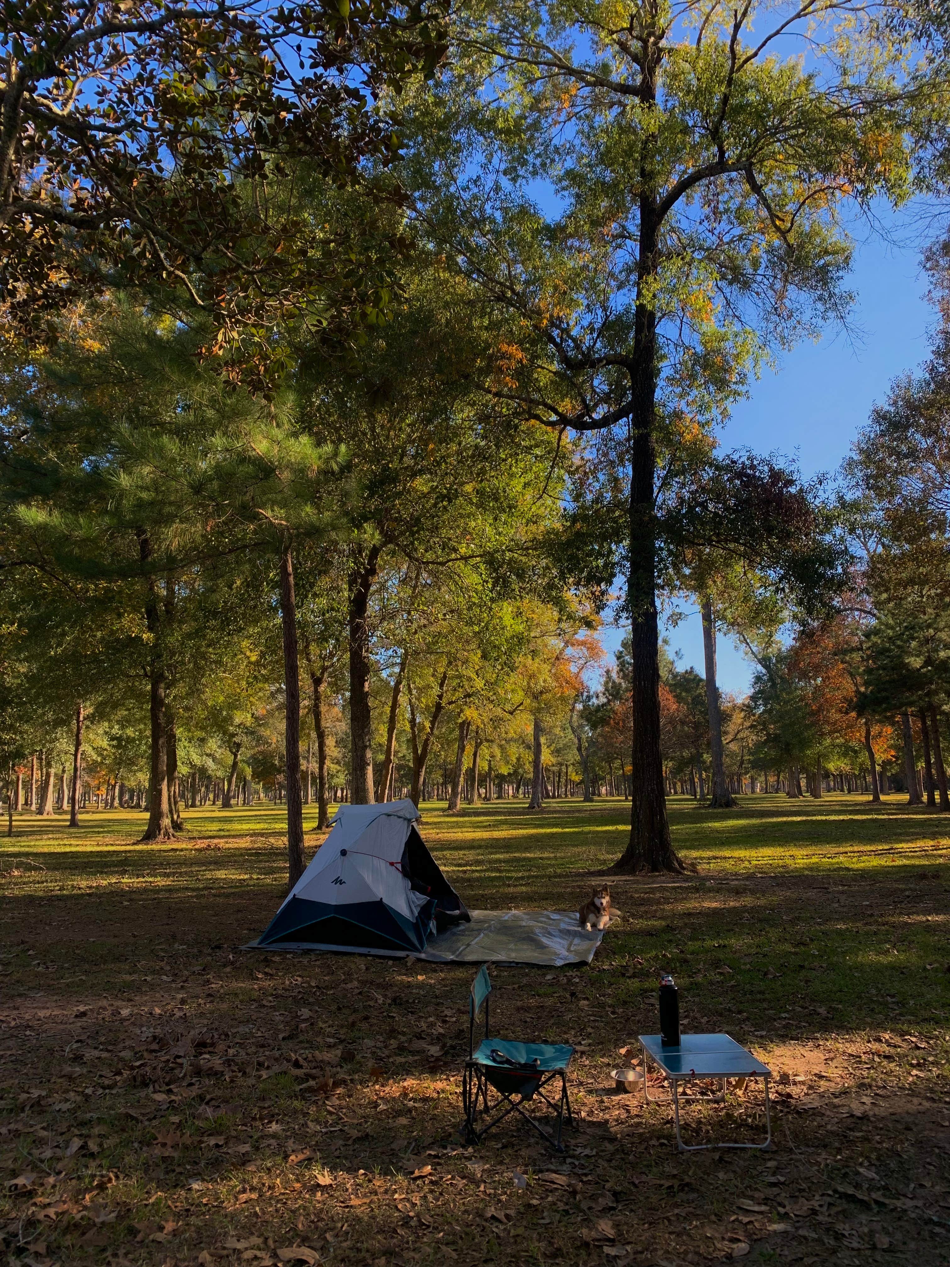 Diana's photo at Whites County Park Campground near Seabrook, TX
