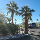 Review photo of Catalina Spa and RV Resort by scott G., November 29, 2022