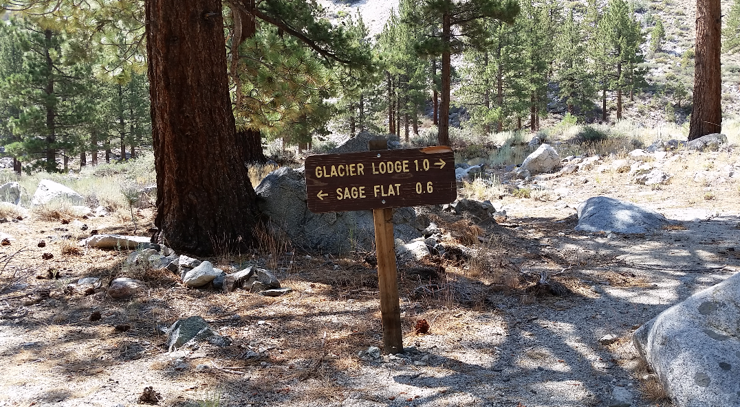 The path to Big Pine Creek Trailhead. you can also walk or drive the road but parking is limited at the trailhead.