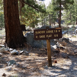 The path to Big Pine Creek Trailhead. you can also walk or drive the road but parking is limited at the trailhead.