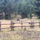 Review photo of Bighorn National Forest Tie Flume Campground by David B., November 4, 2022