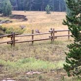 Review photo of Bighorn National Forest Tie Flume Campground by David B., November 4, 2022