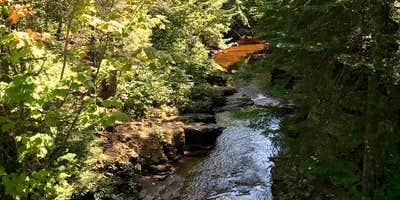 Nature