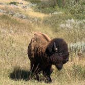 Review photo of Juniper Campground — Theodore Roosevelt National Park by David B., November 30, 2022